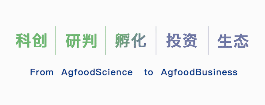 头图动图.gif